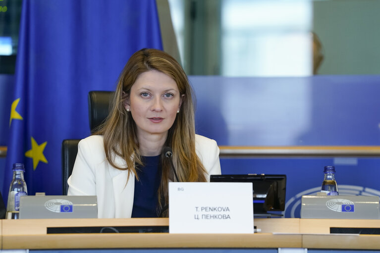 Foto 5: ITRE Committee Meeting