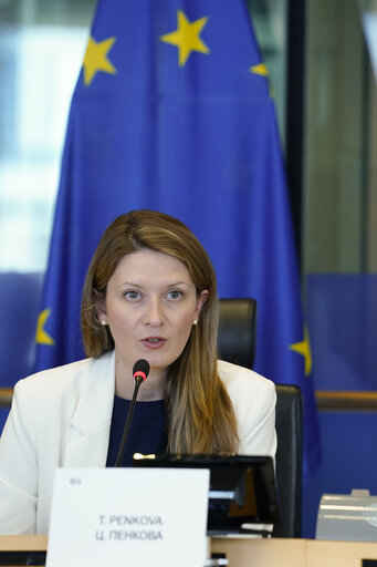 Foto 21: ITRE Committee Meeting