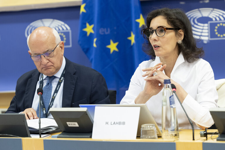 Fotografie 19: LIBE - Commission work programme for 2025 - exchange of views on the proposal to withdraw the Equal Treatment - Exchange of views with Hadja LAHBIB, Commissioner for Equality, Preparedness and Crisis Management