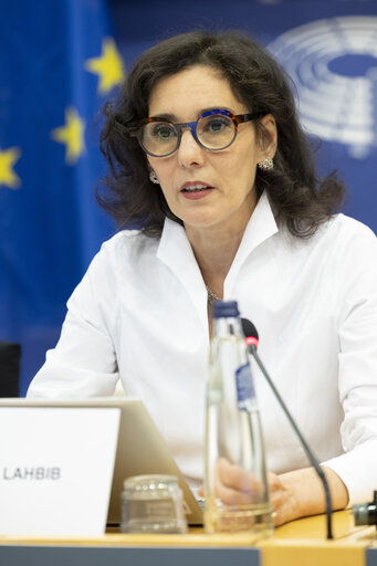 Fotografie 20: LIBE - Commission work programme for 2025 - exchange of views on the proposal to withdraw the Equal Treatment - Exchange of views with Hadja LAHBIB, Commissioner for Equality, Preparedness and Crisis Management