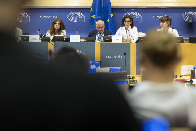 Fotografie 17: LIBE - Commission work programme for 2025 - exchange of views on the proposal to withdraw the Equal Treatment - Exchange of views with Hadja LAHBIB, Commissioner for Equality, Preparedness and Crisis Management