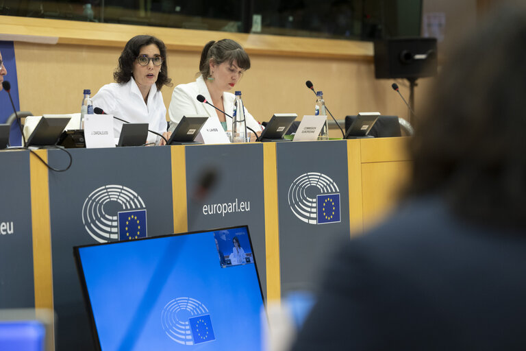 Fotografie 13: LIBE - Commission work programme for 2025 - exchange of views on the proposal to withdraw the Equal Treatment - Exchange of views with Hadja LAHBIB, Commissioner for Equality, Preparedness and Crisis Management