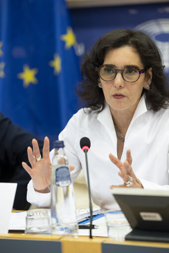 Fotografie 3: LIBE - Commission work programme for 2025 - exchange of views on the proposal to withdraw the Equal Treatment - Exchange of views with Hadja LAHBIB, Commissioner for Equality, Preparedness and Crisis Management