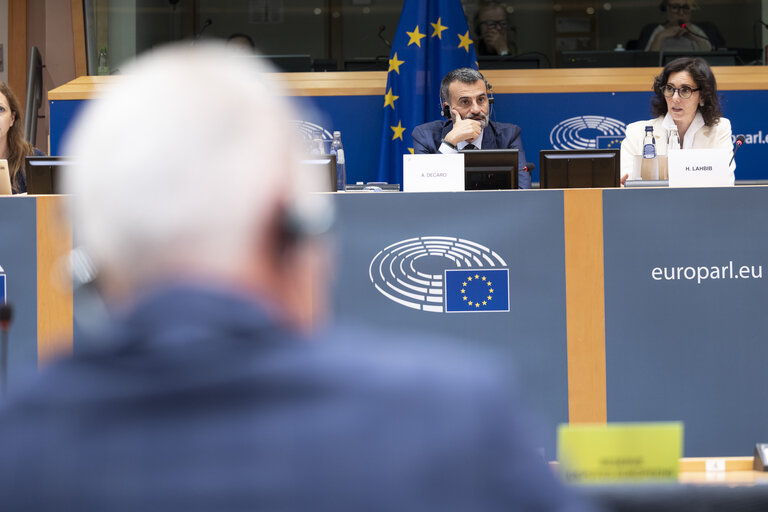 ENVI - Exchange of views with Hadja Lahbib, Commissioner for Equality; Preparedness and Crisis Management, as part of the structured dialogue, including an exchange of views on the EU Preparedness Union Strategy