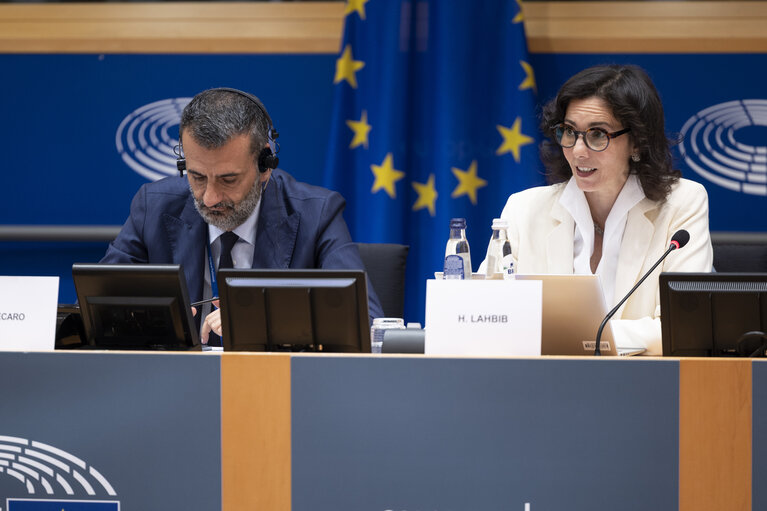 ENVI - Exchange of views with Hadja Lahbib, Commissioner for Equality; Preparedness and Crisis Management, as part of the structured dialogue, including an exchange of views on the EU Preparedness Union Strategy