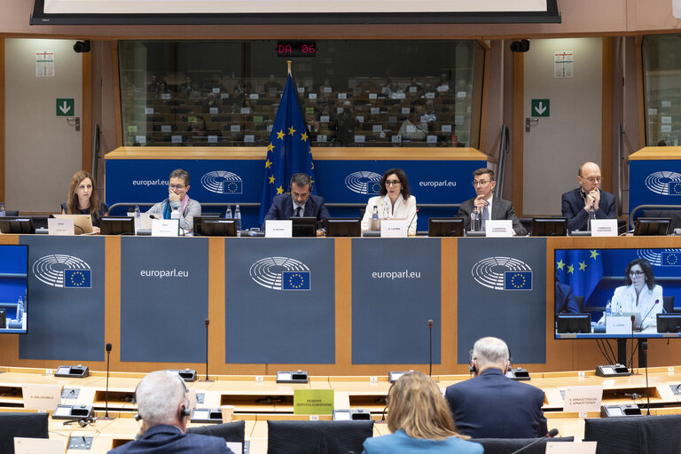 ENVI - Exchange of views with Hadja Lahbib, Commissioner for Equality; Preparedness and Crisis Management, as part of the structured dialogue, including an exchange of views on the EU Preparedness Union Strategy