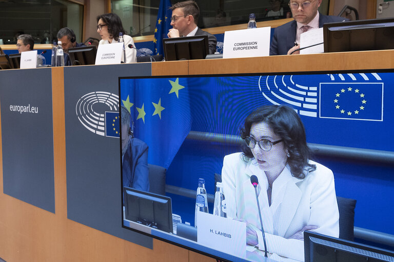 ENVI - Exchange of views with Hadja Lahbib, Commissioner for Equality; Preparedness and Crisis Management, as part of the structured dialogue, including an exchange of views on the EU Preparedness Union Strategy