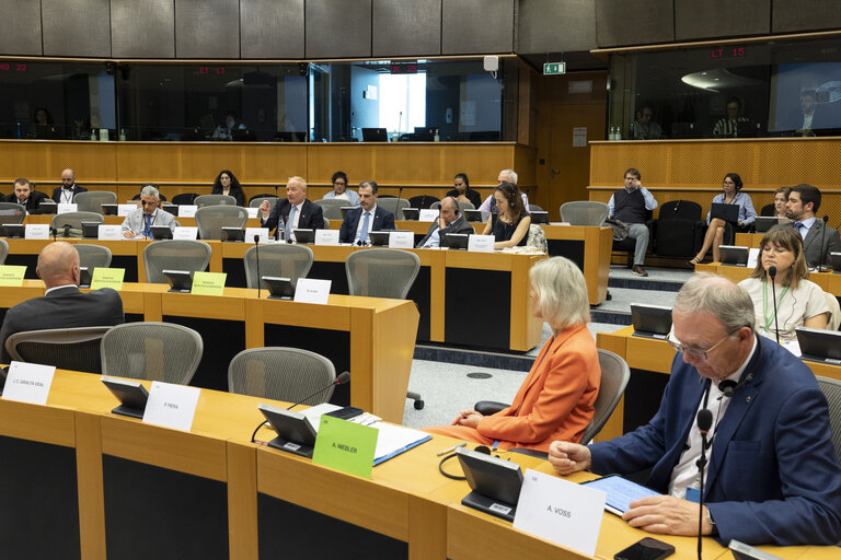 Foto 6: JURI - Exchange of views with the President of the European Patent Office, António Campinos