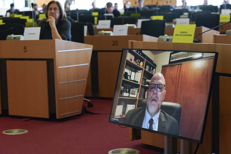 AFET - Public hearing on the EU–US political relations