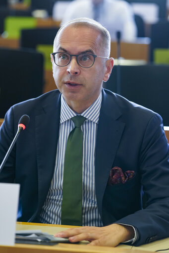AFET - Public hearing on the EU–US political relations