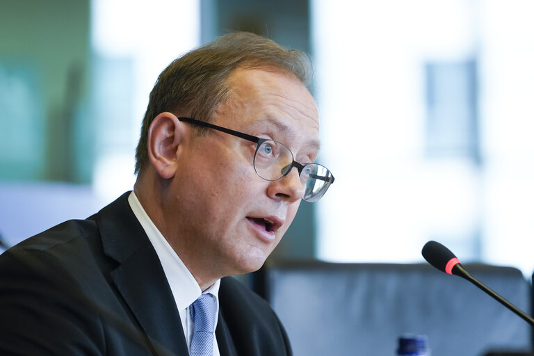 AFET - Public hearing on the EU–US political relations