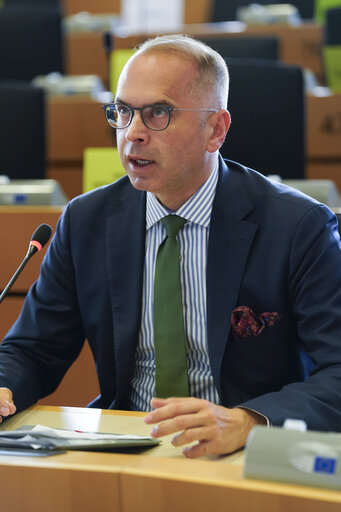 AFET - Public hearing on the EU–US political relations