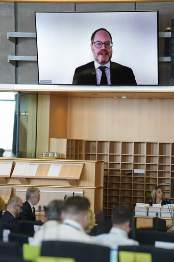 AFET - Public hearing on the EU–US political relations