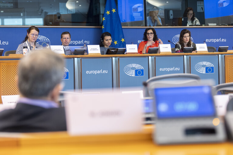 DEVE - Exchange of views with Commissioner Hadja LAHBIB