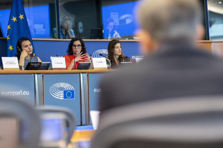 DEVE - Exchange of views with Commissioner Hadja LAHBIB