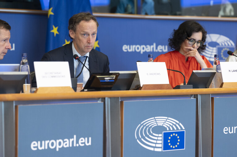 DEVE - Exchange of views with Commissioner Hadja LAHBIB
