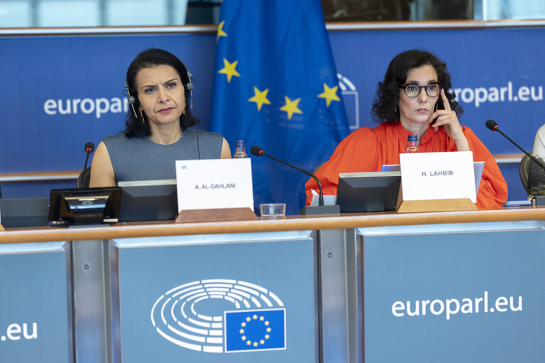 DEVE - Exchange of views with Commissioner Hadja LAHBIB