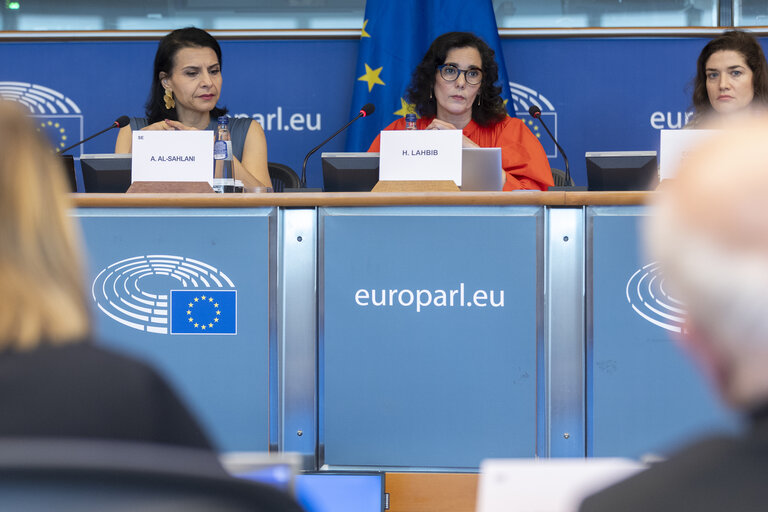 DEVE - Exchange of views with Commissioner Hadja LAHBIB