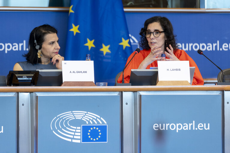 DEVE - Exchange of views with Commissioner Hadja LAHBIB