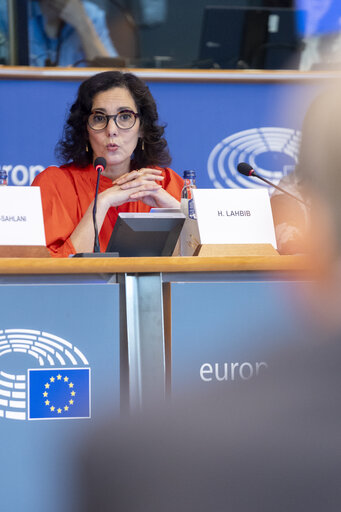 Fotografia 8: DEVE - Exchange of views with Commissioner Hadja LAHBIB