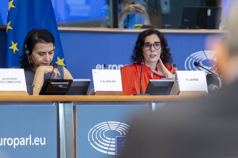 DEVE - Exchange of views with Commissioner Hadja LAHBIB