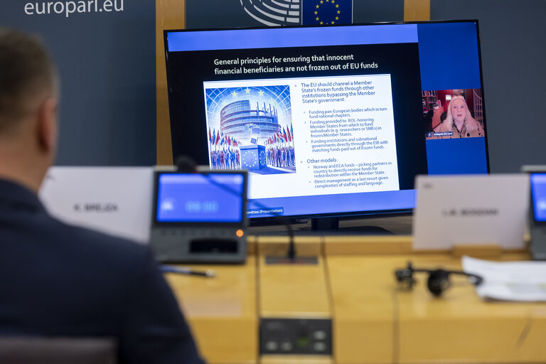 BUDG CONT LIBE - Public Hearing on Smart Conditionality