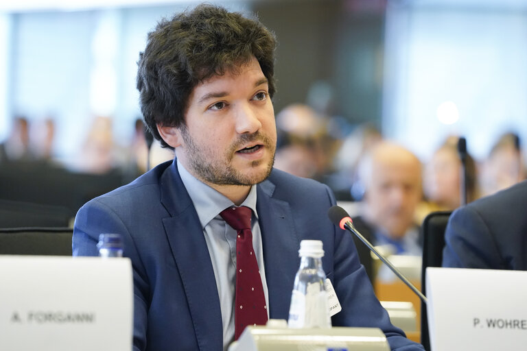 Zdjęcie 17: ITRE Committee meeting - Public Hearing