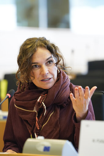 Zdjęcie 15: ITRE Committee meeting - Public Hearing