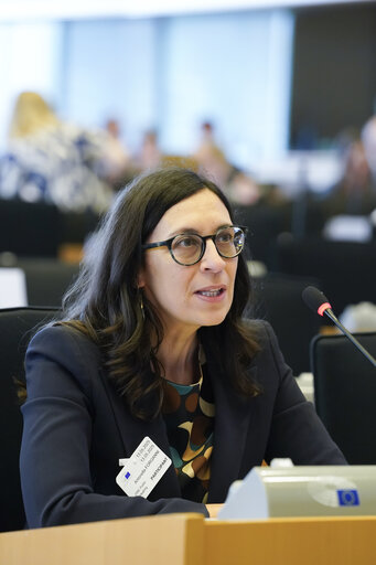 Zdjęcie 20: ITRE Committee meeting - Public Hearing