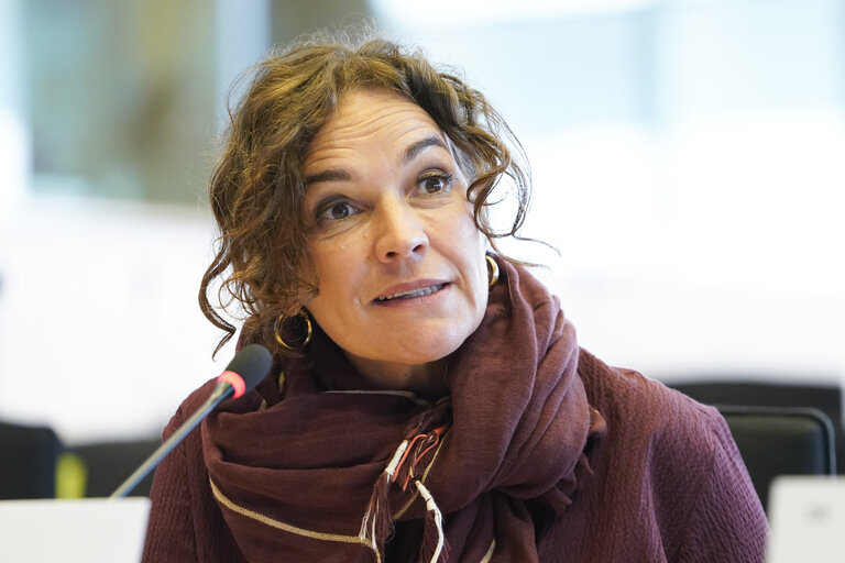 Zdjęcie 14: ITRE Committee meeting - Public Hearing