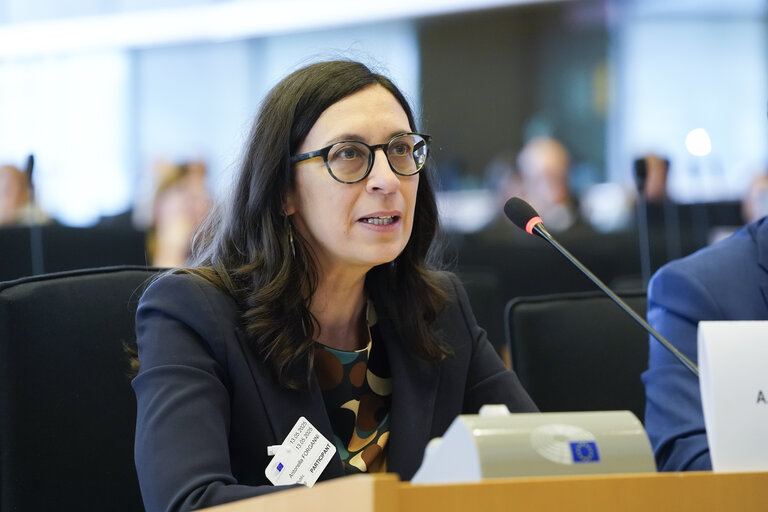 Zdjęcie 21: ITRE Committee meeting - Public Hearing