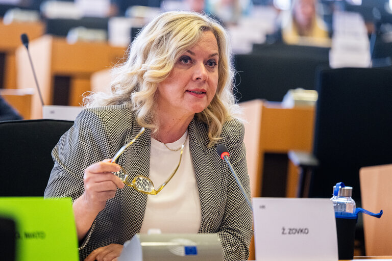 AFET - Exchange of views with Borjana Krišto, Chairwoman of the Council of Ministers of Bosnia and Herzegovina