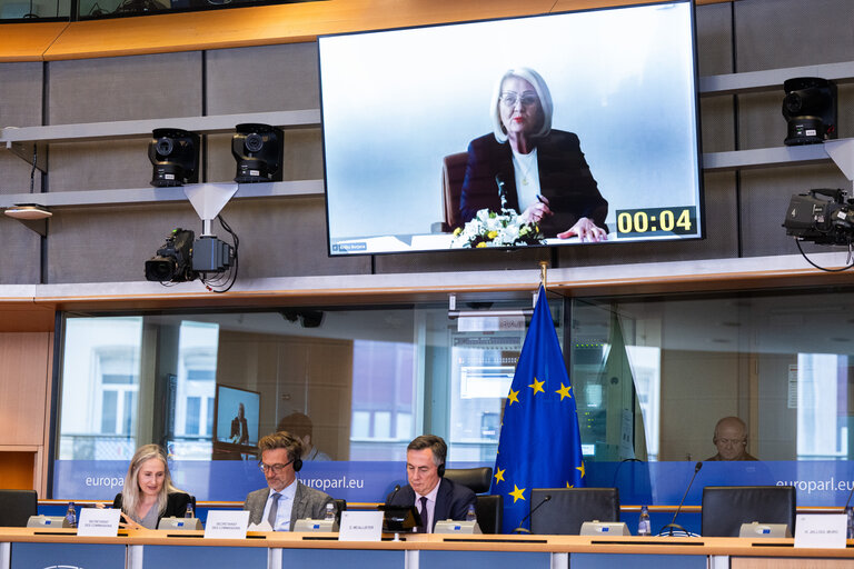 AFET - Exchange of views with Borjana Krišto, Chairwoman of the Council of Ministers of Bosnia and Herzegovina