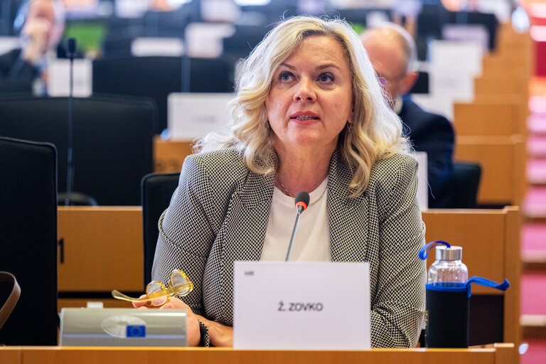 AFET - Exchange of views with Borjana Krišto, Chairwoman of the Council of Ministers of Bosnia and Herzegovina