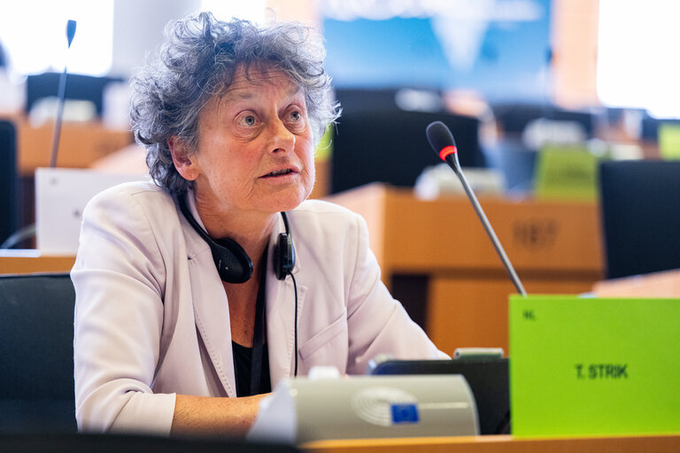 AFET - Exchange of views with Borjana Krišto, Chairwoman of the Council of Ministers of Bosnia and Herzegovina