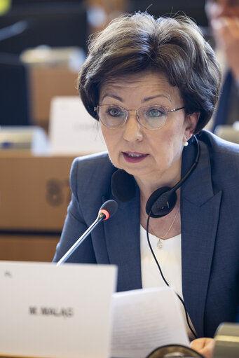 EMPL - Public hearing on ' Volunteers in emergency services and their legal challenges: cases of cross-border firefighters '