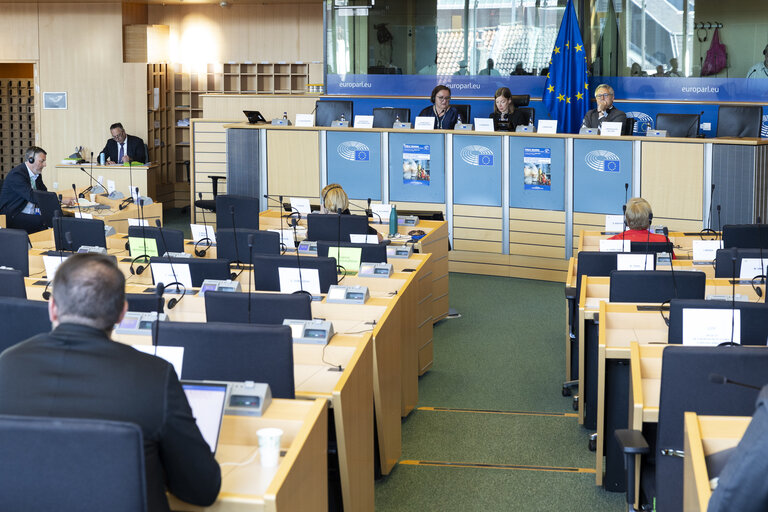 EMPL - Public hearing on ' Volunteers in emergency services and their legal challenges: cases of cross-border firefighters '