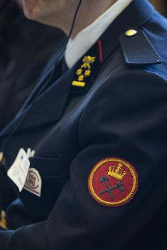 EMPL - Public hearing on ' Volunteers in emergency services and their legal challenges: cases of cross-border firefighters '