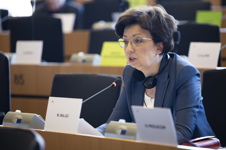 EMPL - Public hearing on ' Volunteers in emergency services and their legal challenges: cases of cross-border firefighters '