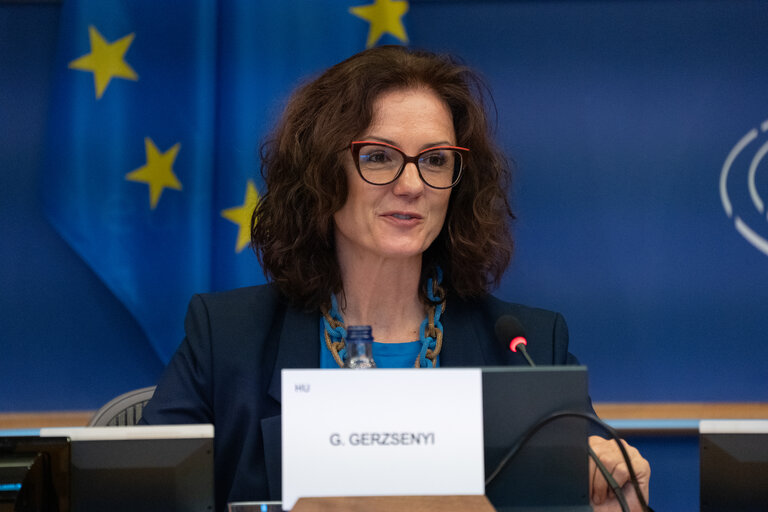 Foto 11: REGI Committee meeting - Presentation of the ECA Special report 13/2024: Absorption of funds from the Recovery and Resilience Facility and of the ECA Special Report 26/2023: Recovery and Resilience Facility’s performance monitoring framework, by Ivana Maletić