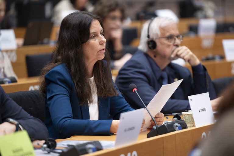 ENVI - Exchange of views with Stéphane Séjourné, Executive Vice-President for Prosperity and Industrial Strategy, as part of the structured dialogue