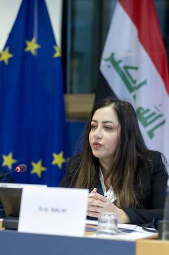 EU-Iraq Interparliamentary meeting