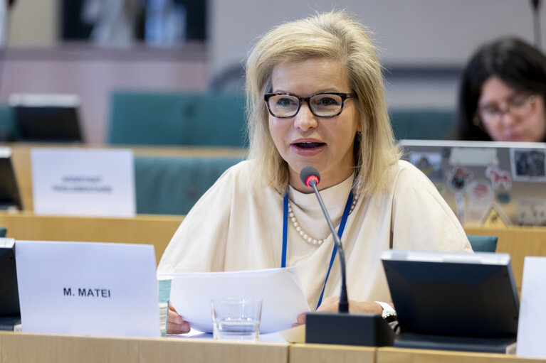 EU-Iraq Interparliamentary meeting