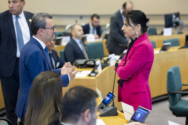 EU-Iraq Interparliamentary meeting