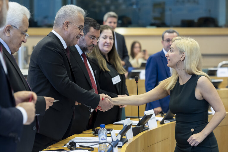 EU-Iraq Interparliamentary meeting