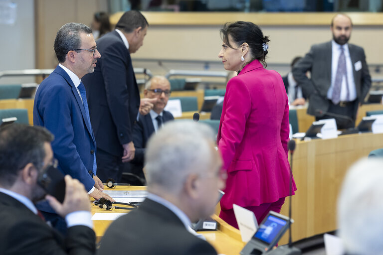 EU-Iraq Interparliamentary meeting