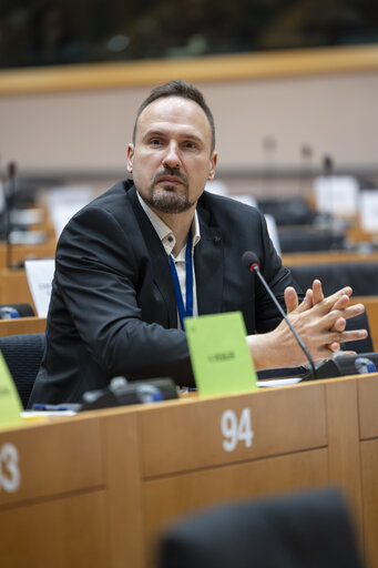 BUDG - Partial renewal of Members of the Court of Auditors - Hearing of Ivana Maletic, candidate nominated by Croatia