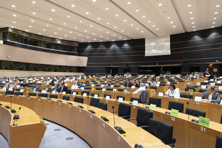 BUDG - Partial renewal of Members of the Court of Auditors - Hearing of Ivana Maletic, candidate nominated by Croatia