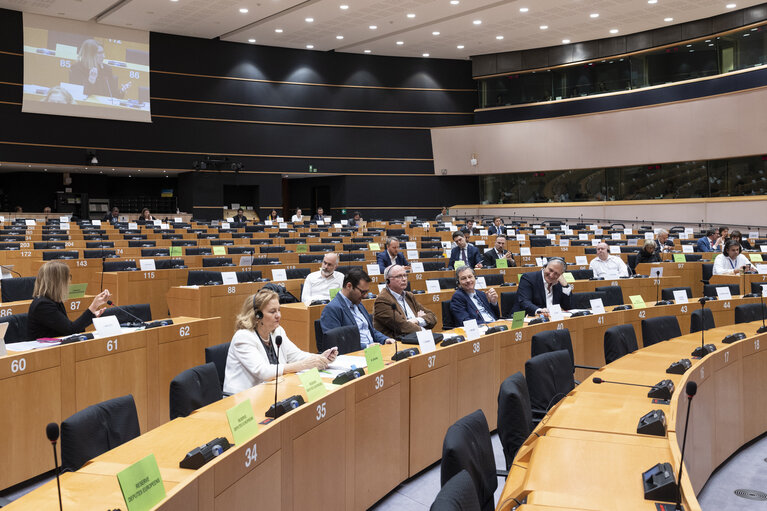 BUDG - Partial renewal of Members of the Court of Auditors - Hearing of Ivana Maletic, candidate nominated by Croatia
