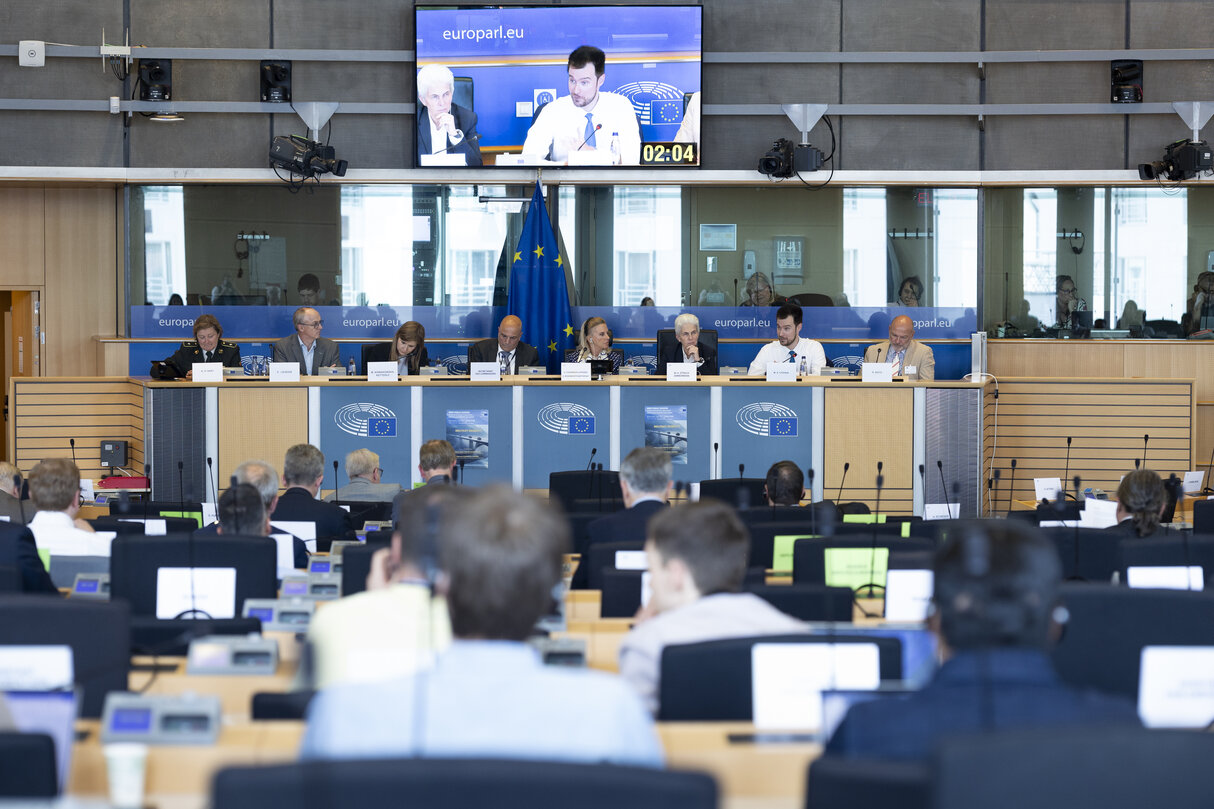 TRAN SEDE - Public Hearing on Military mobility